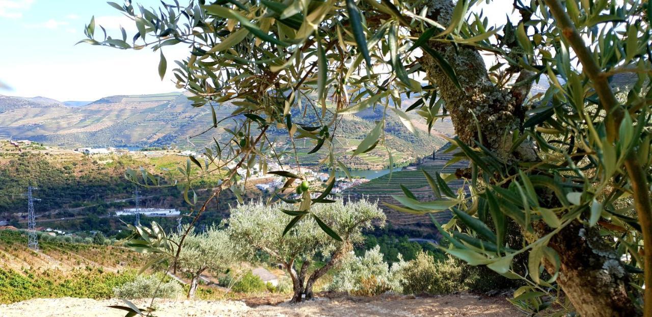 Bed and Breakfast Casa Do Arco By Douro Exclusive Sao Cristovao do Douro Exterior foto